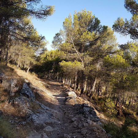 Apartamentos Rurales La Dehesa Del Acebuche Хаэн Экстерьер фото