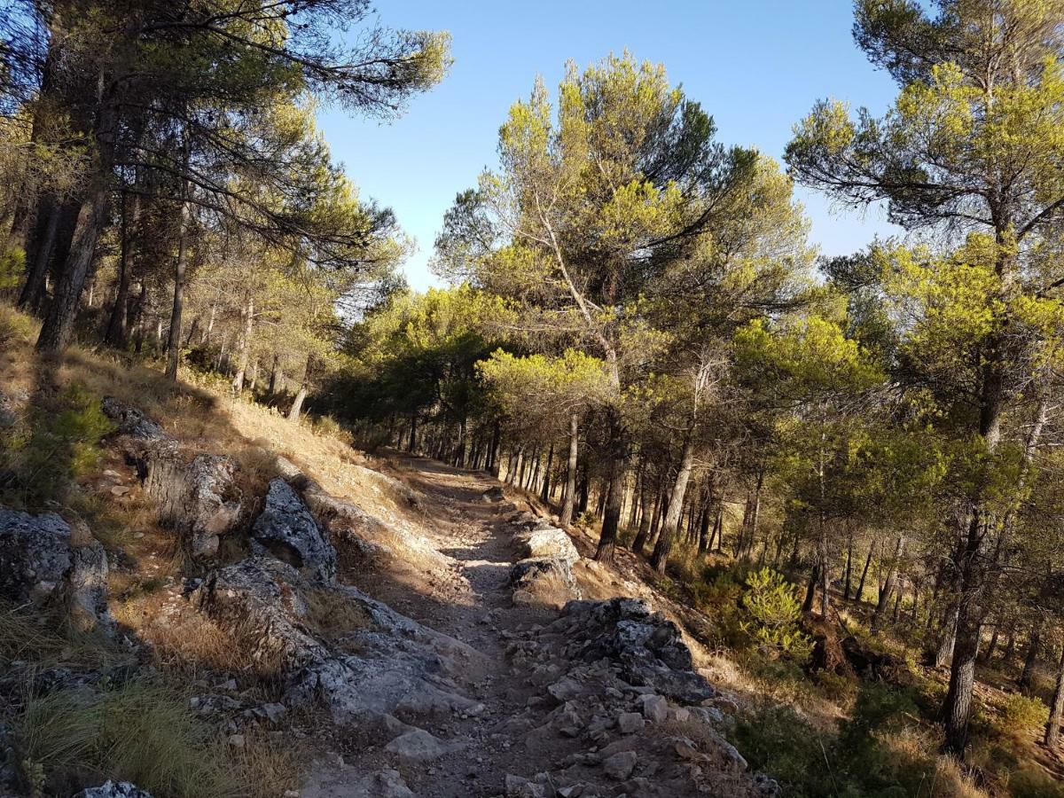 Apartamentos Rurales La Dehesa Del Acebuche Хаэн Экстерьер фото