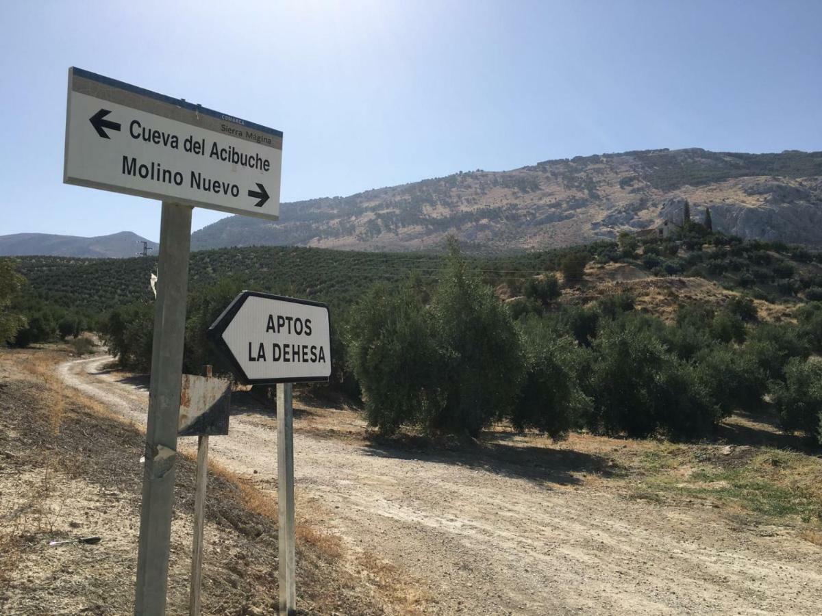 Apartamentos Rurales La Dehesa Del Acebuche Хаэн Экстерьер фото